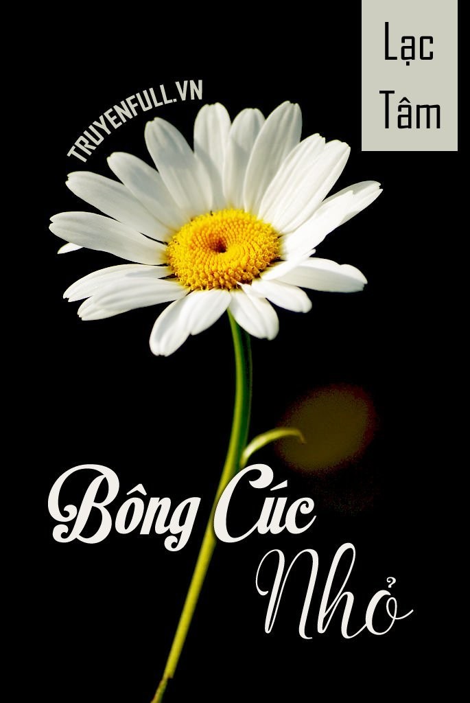 Bông cúc nhỏ