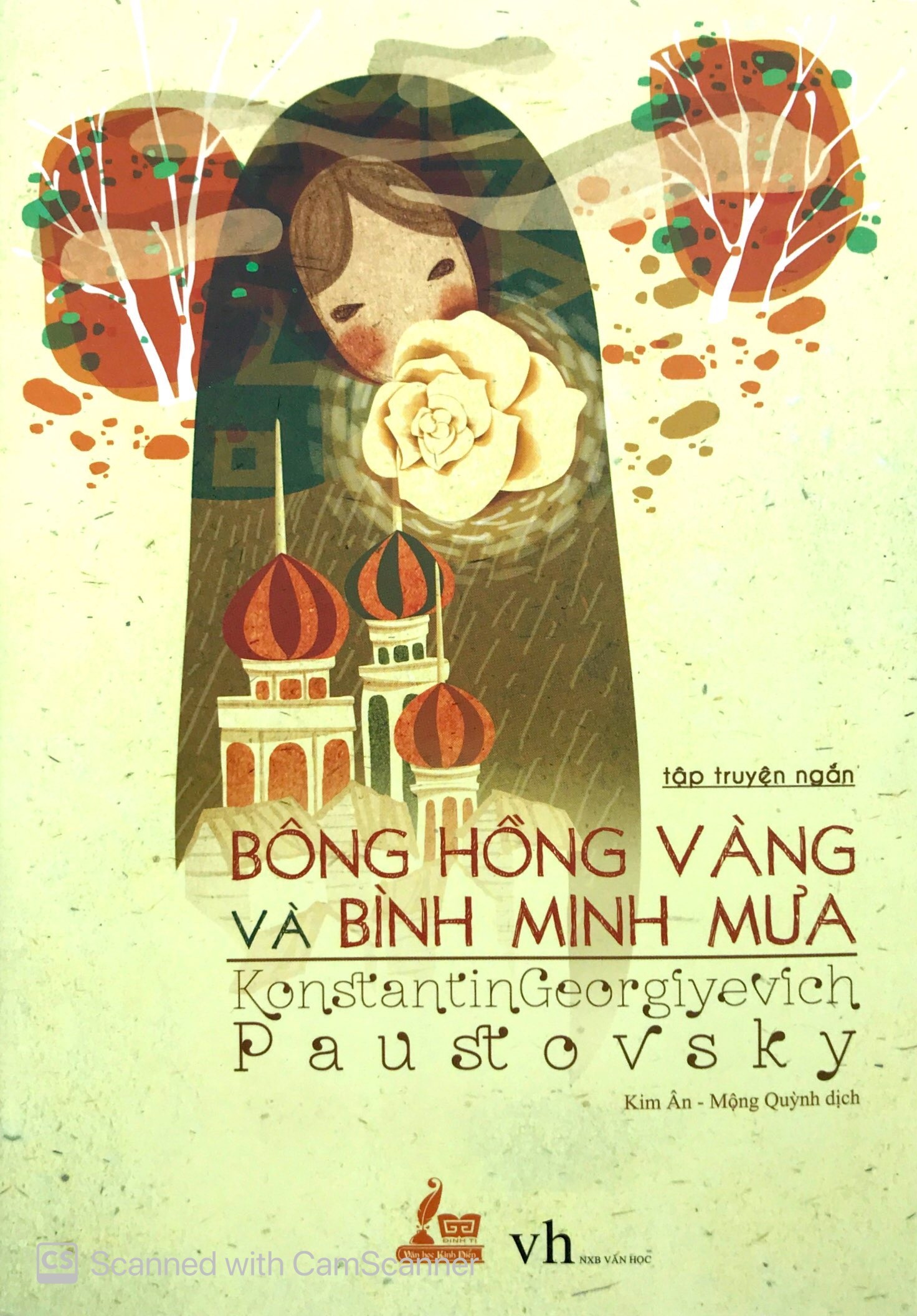 Bông hồng vàng và bình minh mưa