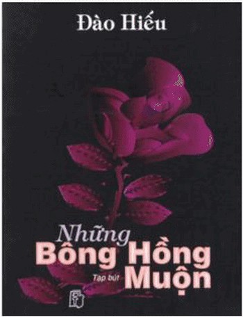 Những bông hồng muộn