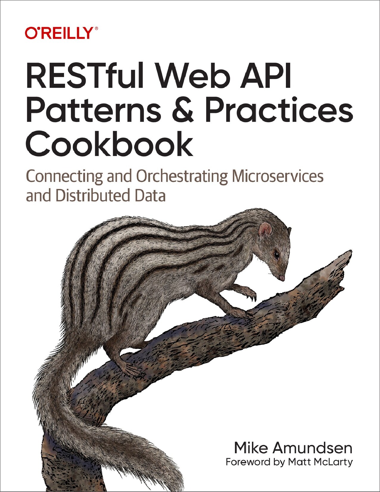 Restful Web API Patterns and Practices Cookbook...2022