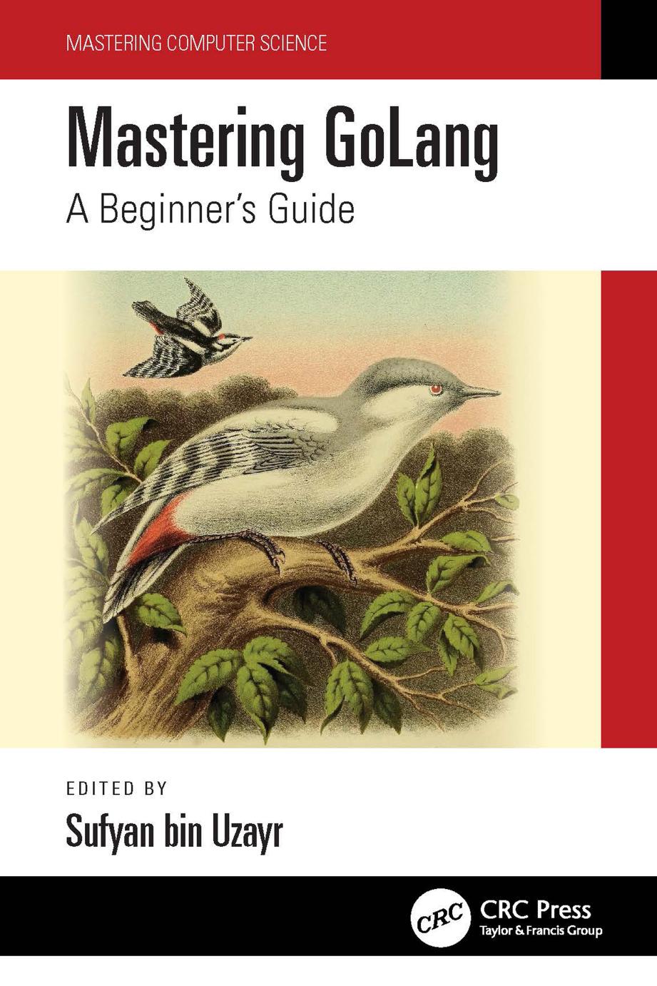 Mastering GoLang A Beginner's Guide