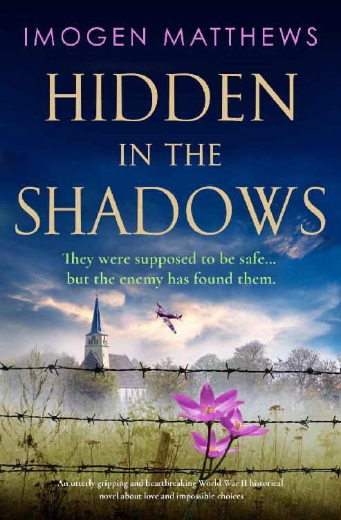 Hidden in the Shadows: An utterly gripping and heartbreaking World War II historical novel about love and impossible choices (Wartime Holland Book 2)