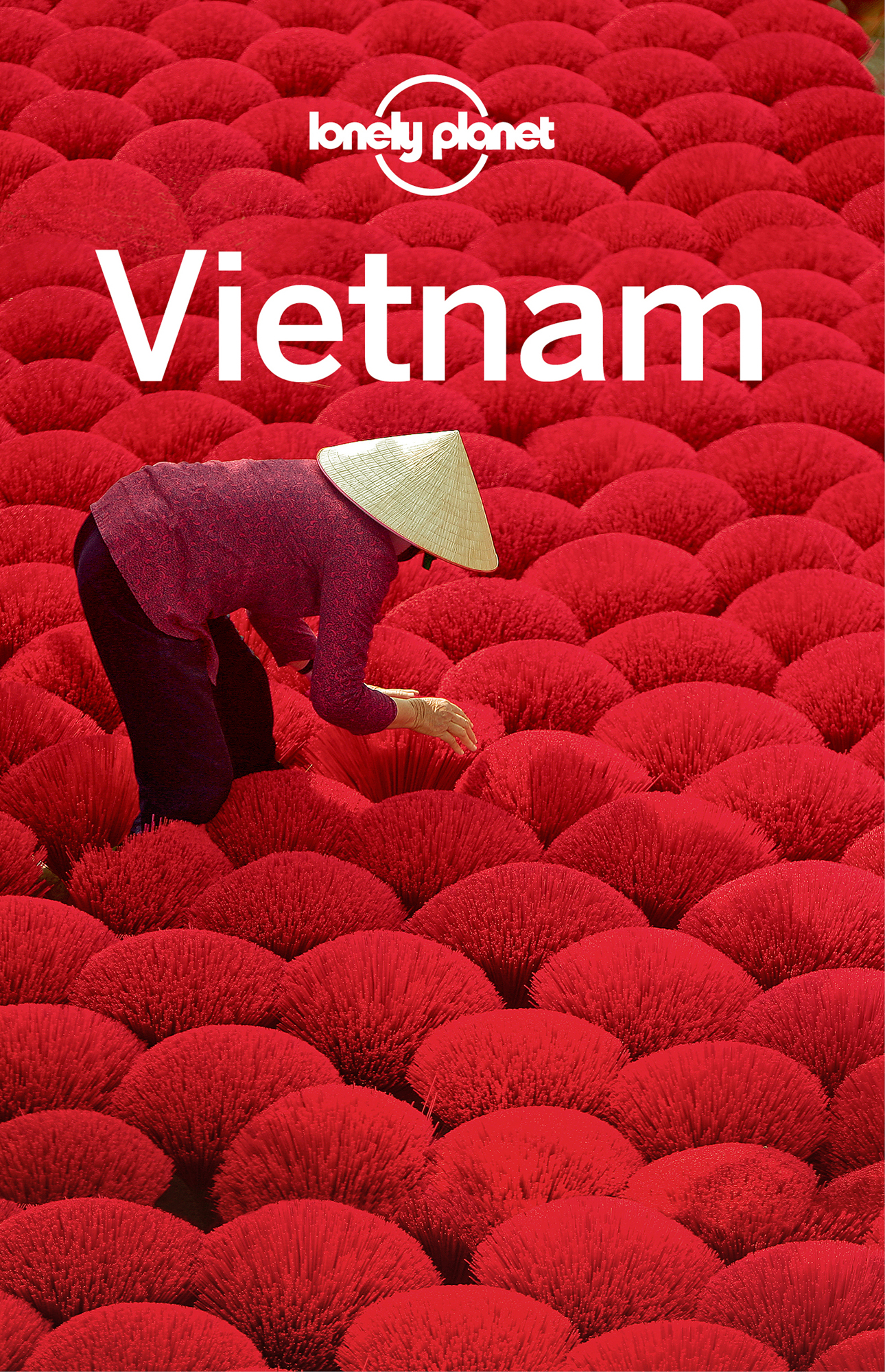 Vietnam Travel Guide