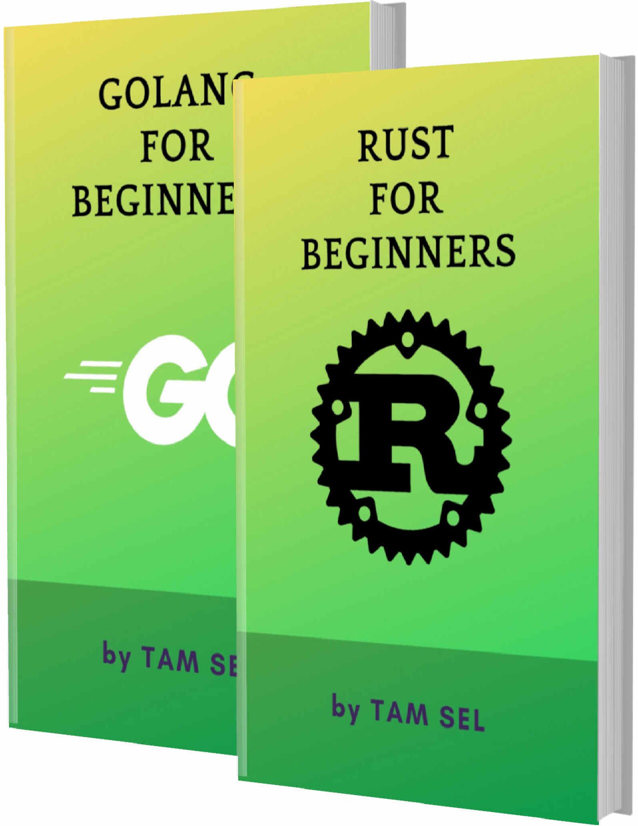 RUST AND GOLANG FOR BEGINNERS: 2 BOOKS IN 1 - Learn Coding Fast