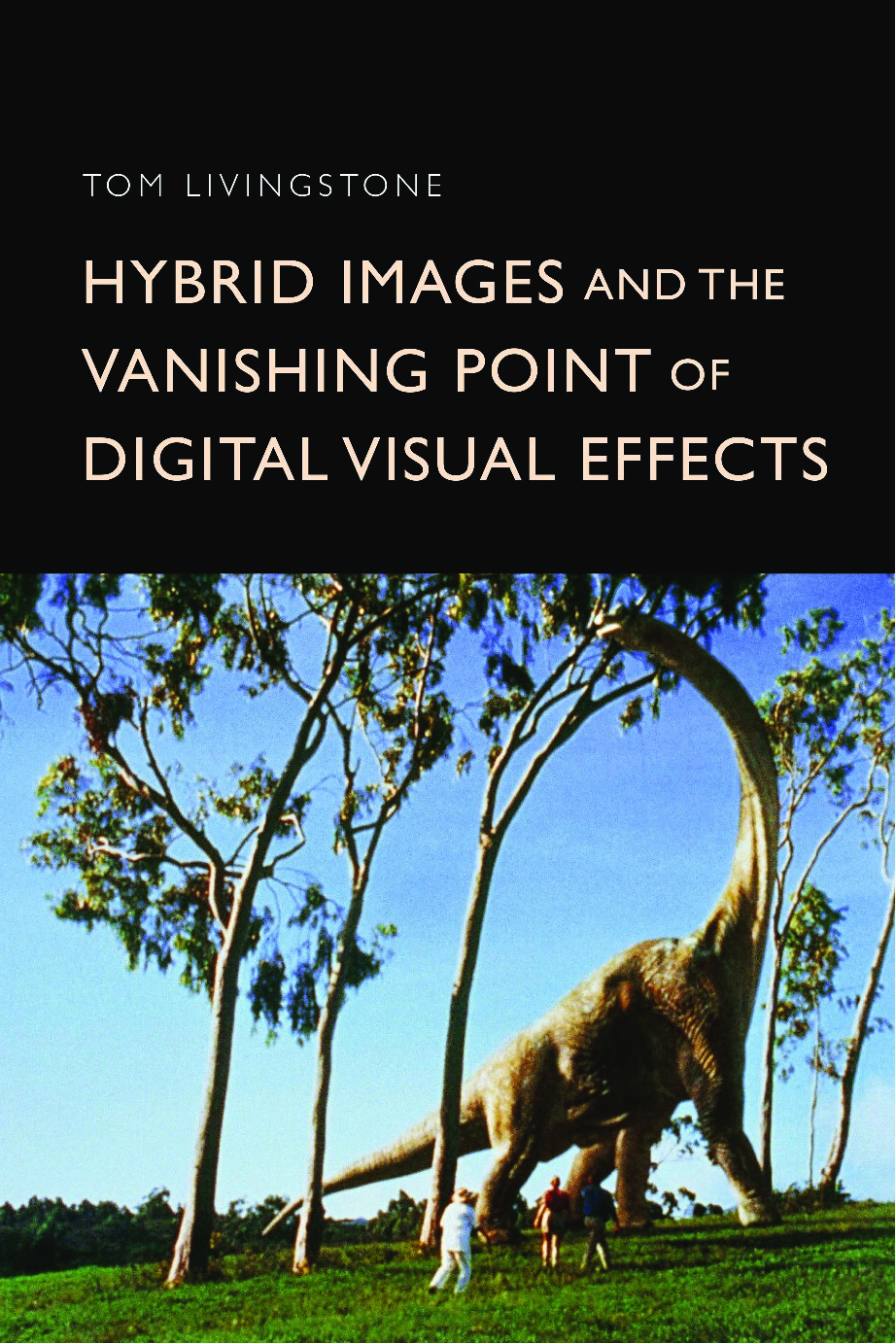 Hybrid Images and the Vanishing Point of Digital Vis.Effects 2024